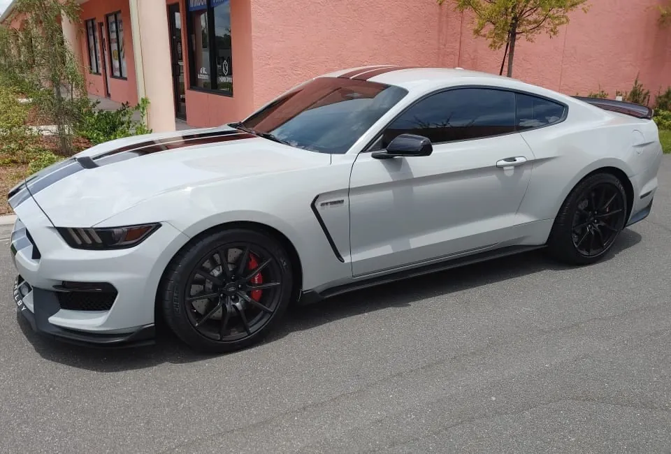 White Shelby GT350 with stripes and tinted windows