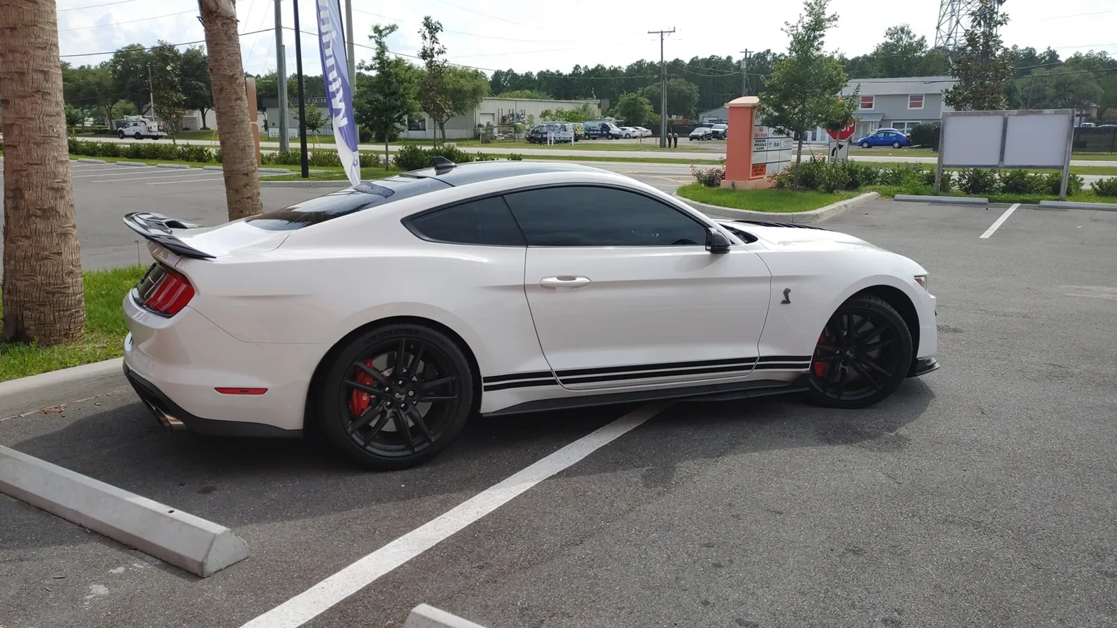 White Shelby GT500 side view with tinted glass